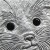 Moneta 2 dolary - Fox Babies - Fennec Fox - Niue - 2013 rok - rewers detal.jpg