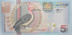 5 Guldenów - Suriname - 2000 rok